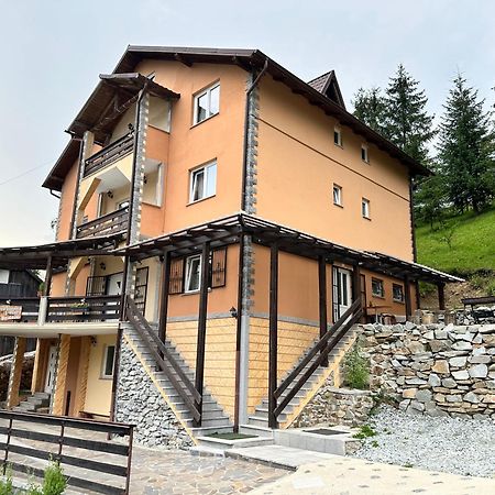 Отель Pensiunea 3Flori De Colt Statjunea Borsa Экстерьер фото